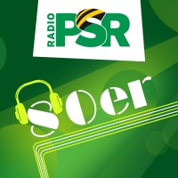 radio-psr-80er