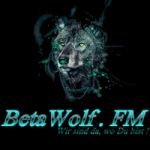 betawolf-studio-1