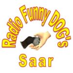 funny-dogs-saar