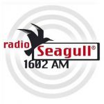 radio-seagull