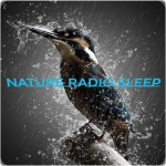 nature-radio-sleep