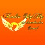 radio-skyfly
